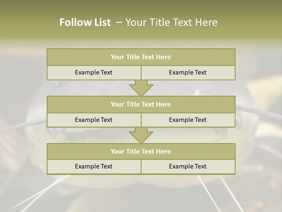 Smiling Catfish PowerPoint Template