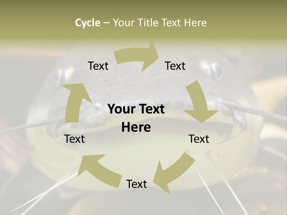 Smiling Catfish PowerPoint Template