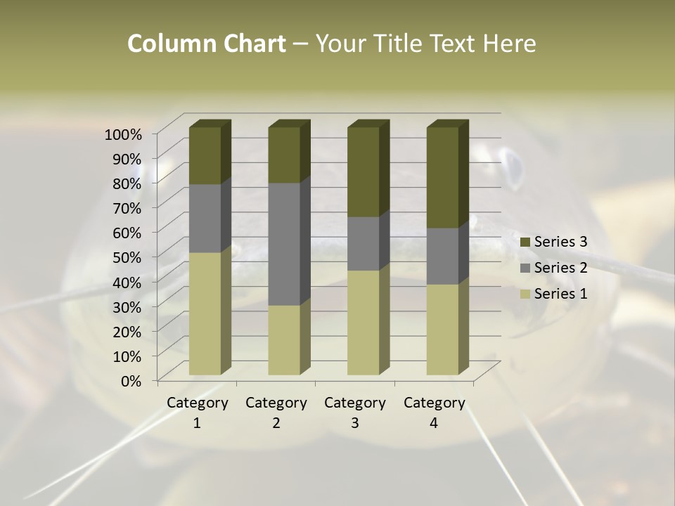 Smiling Catfish PowerPoint Template