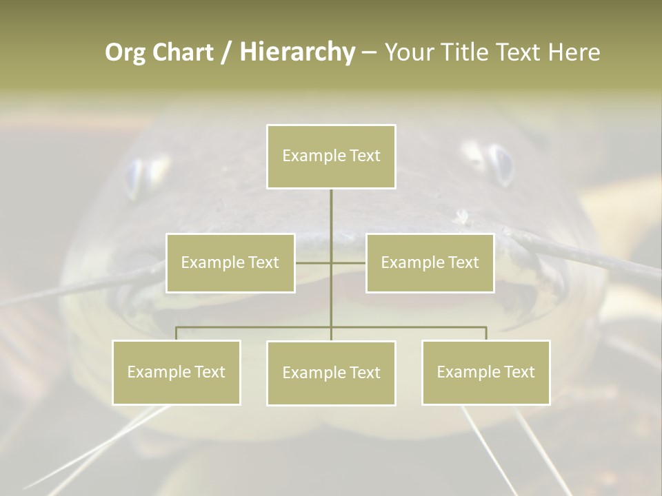 Smiling Catfish PowerPoint Template