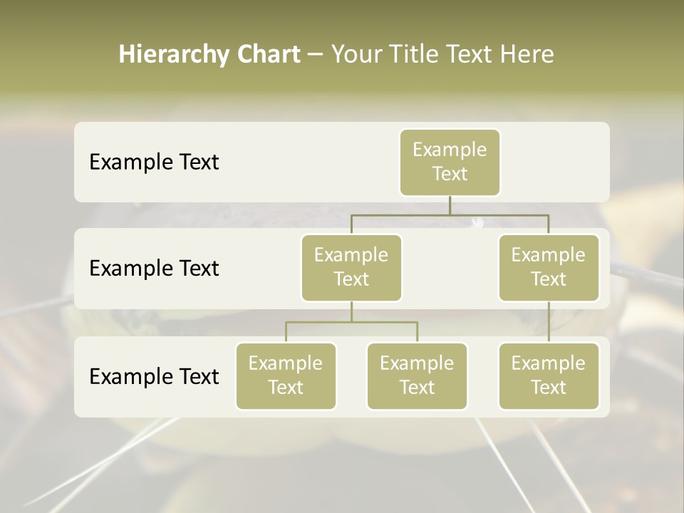 Smiling Catfish PowerPoint Template