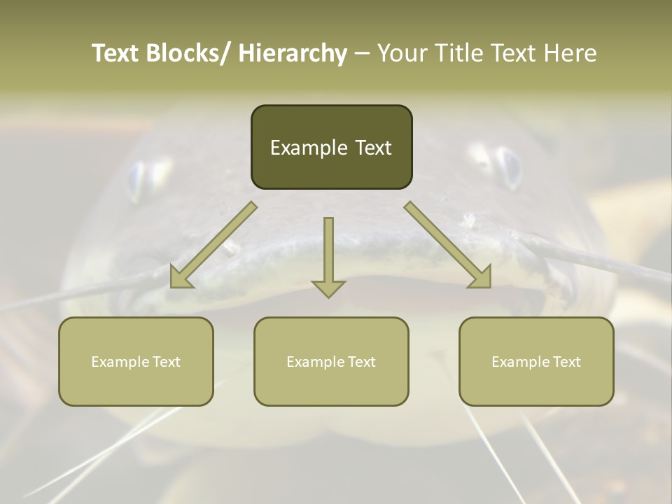 Smiling Catfish PowerPoint Template