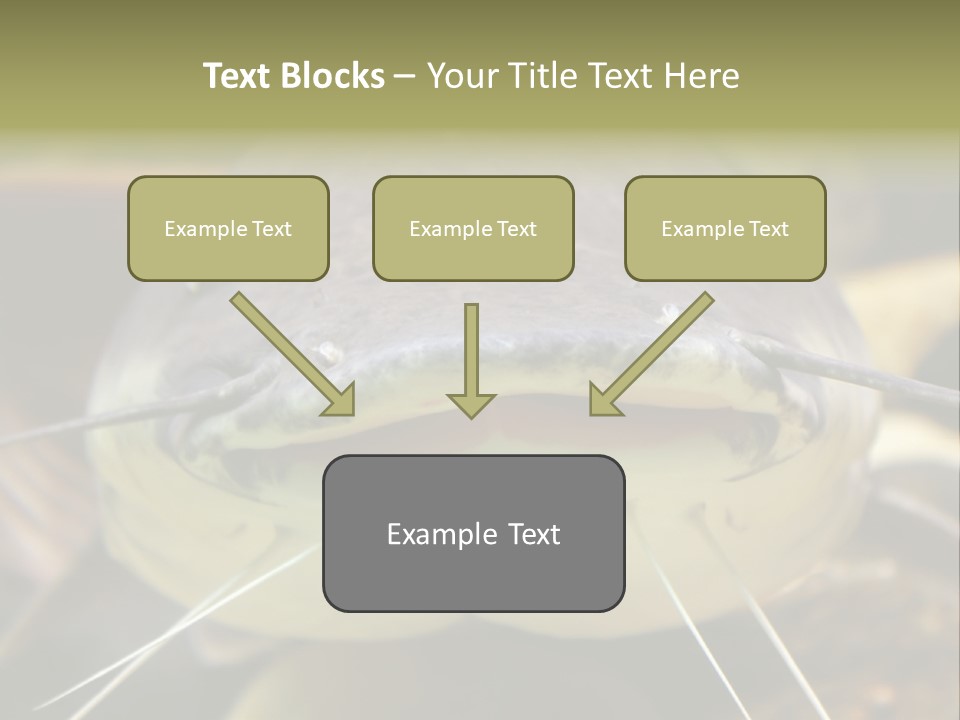Smiling Catfish PowerPoint Template
