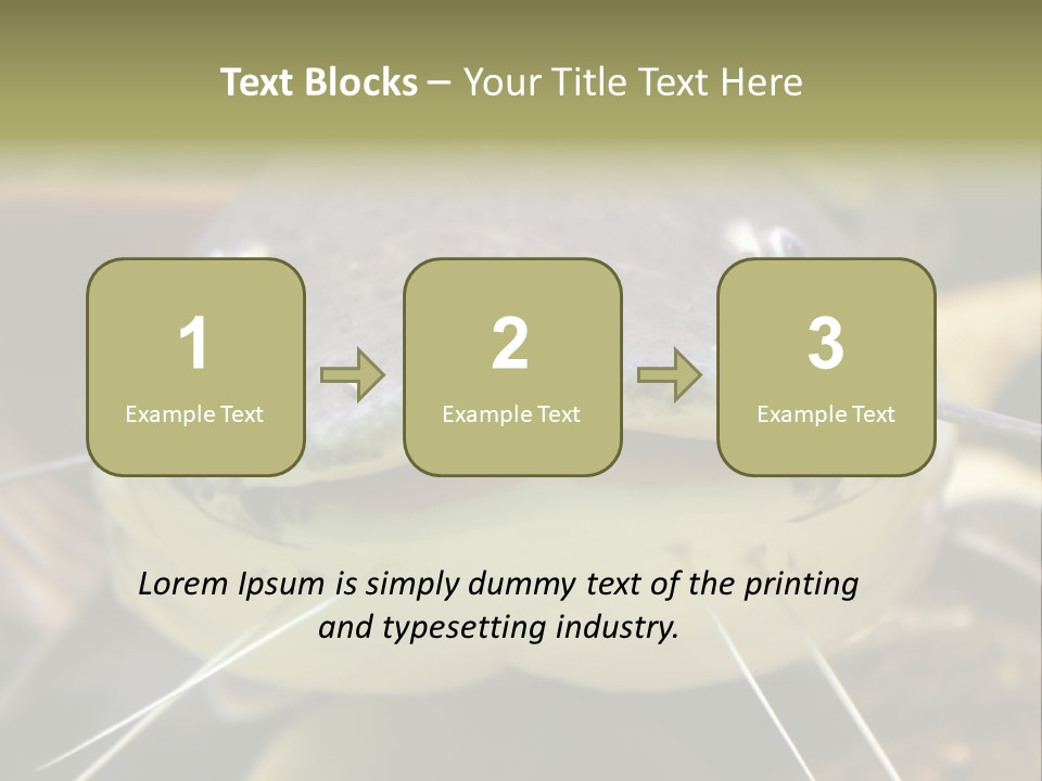 Smiling Catfish PowerPoint Template