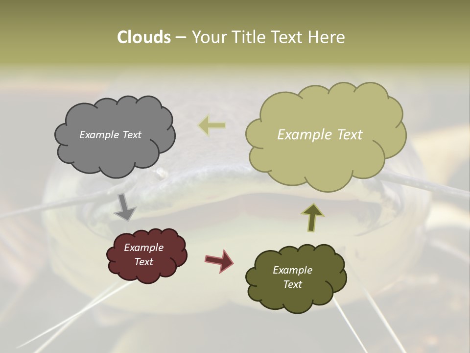 Smiling Catfish PowerPoint Template