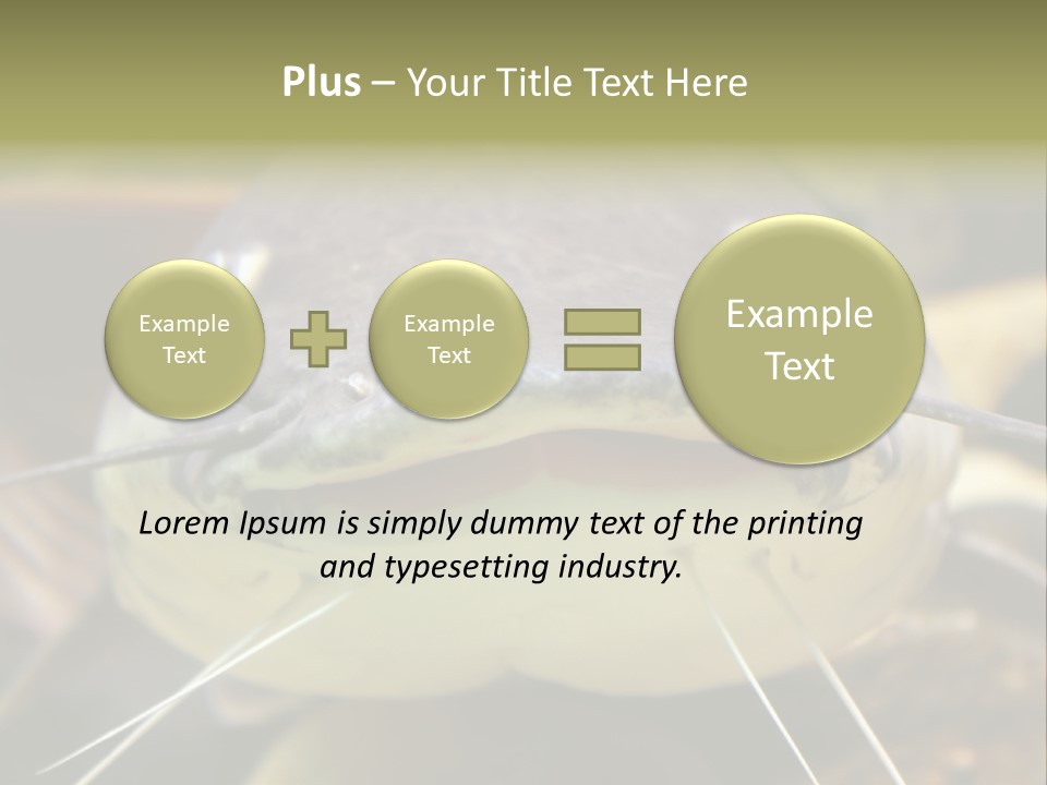 Smiling Catfish PowerPoint Template