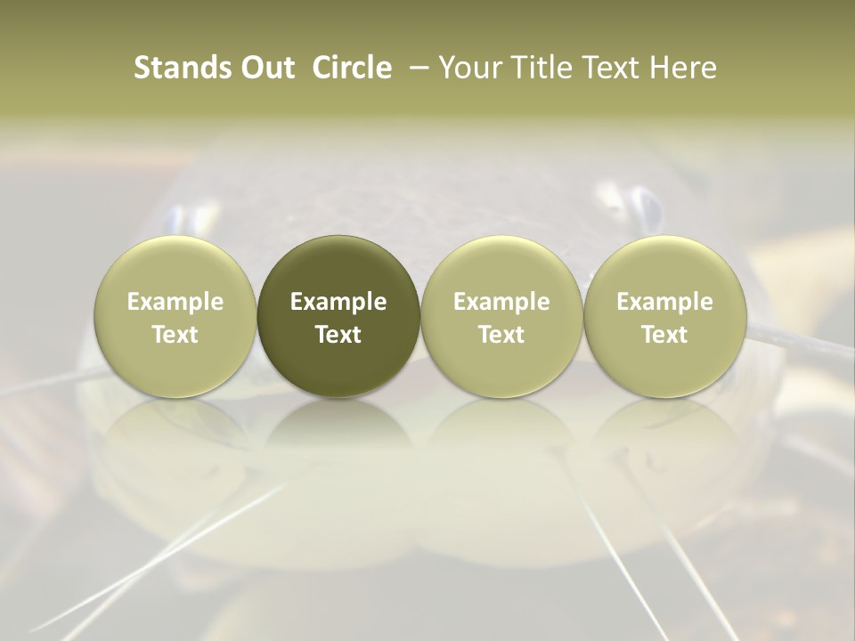 Smiling Catfish PowerPoint Template