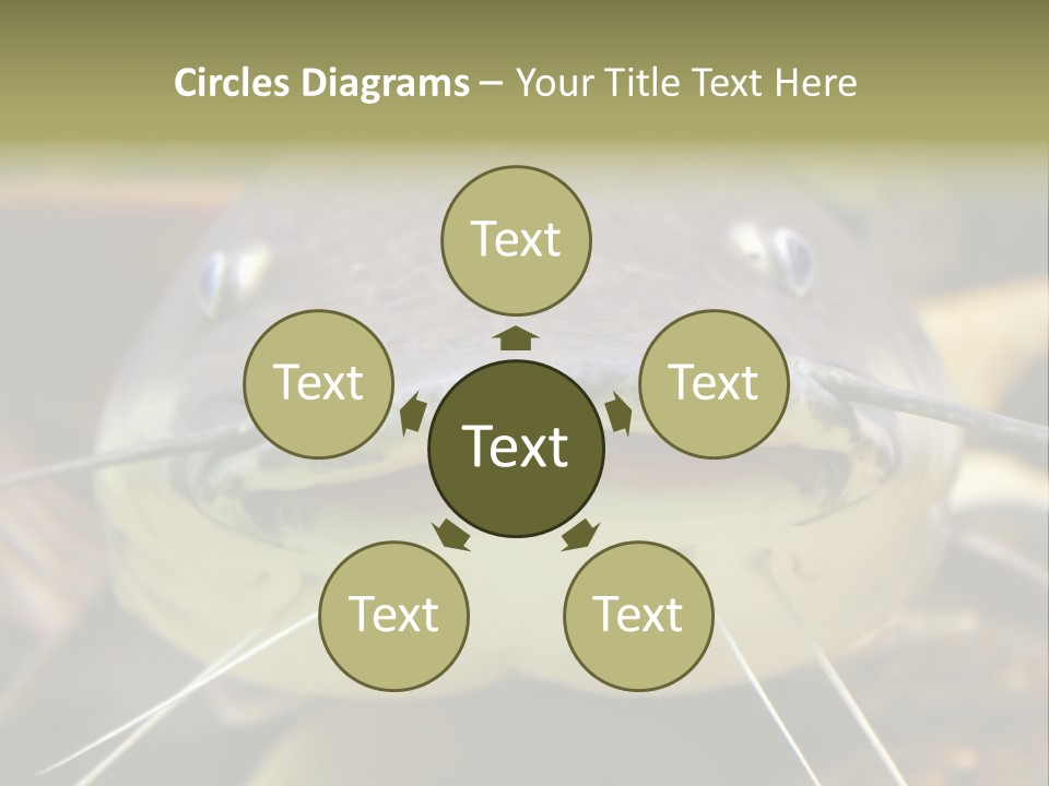 Smiling Catfish PowerPoint Template