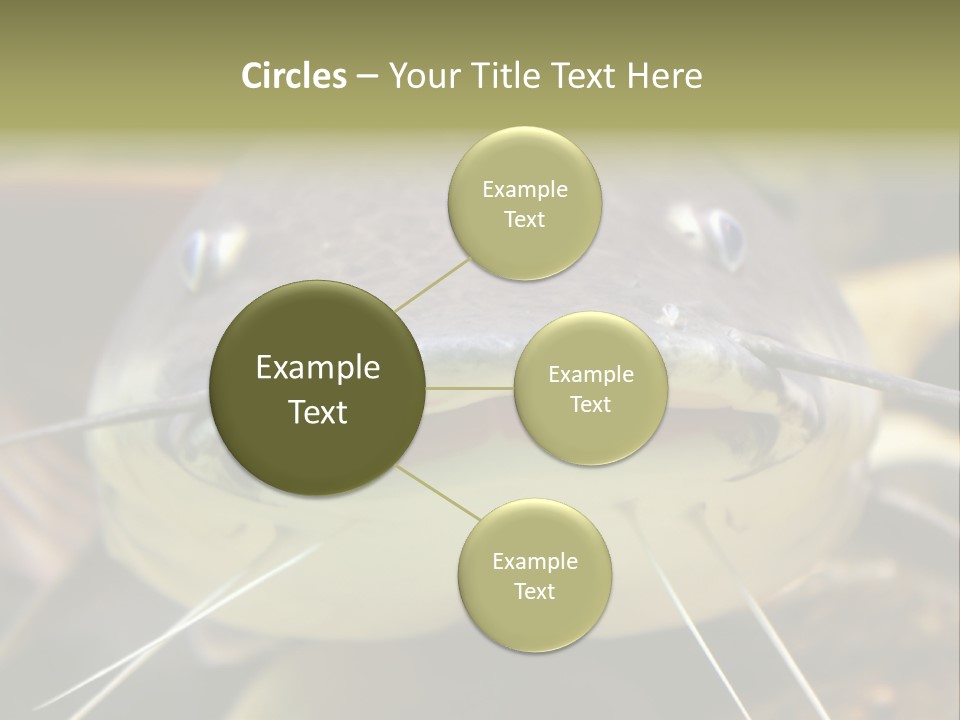 Smiling Catfish PowerPoint Template