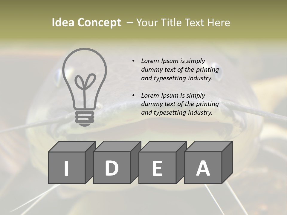 Smiling Catfish PowerPoint Template