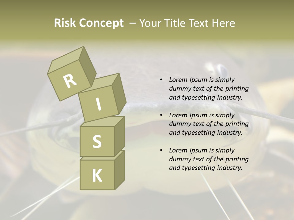 Smiling Catfish PowerPoint Template