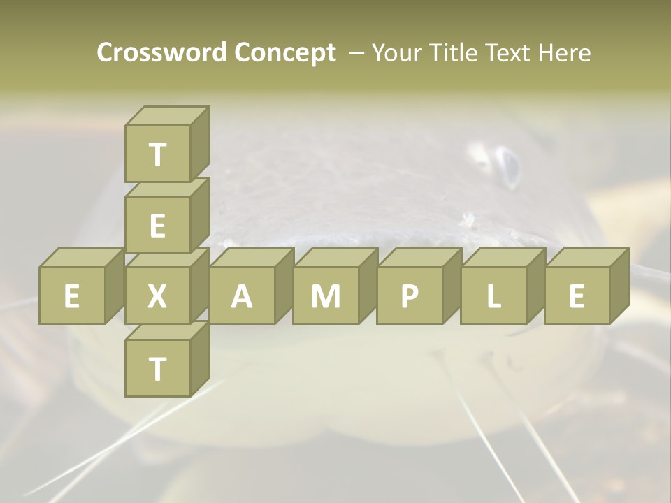 Smiling Catfish PowerPoint Template