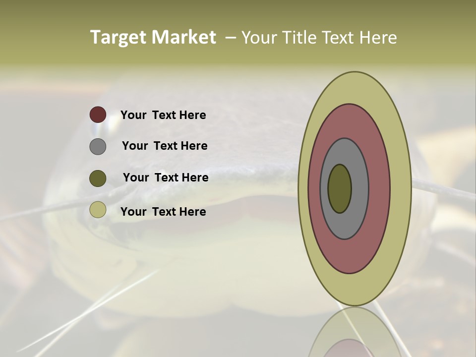 Smiling Catfish PowerPoint Template