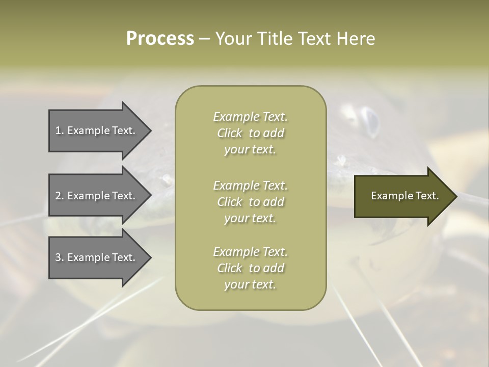 Smiling Catfish PowerPoint Template