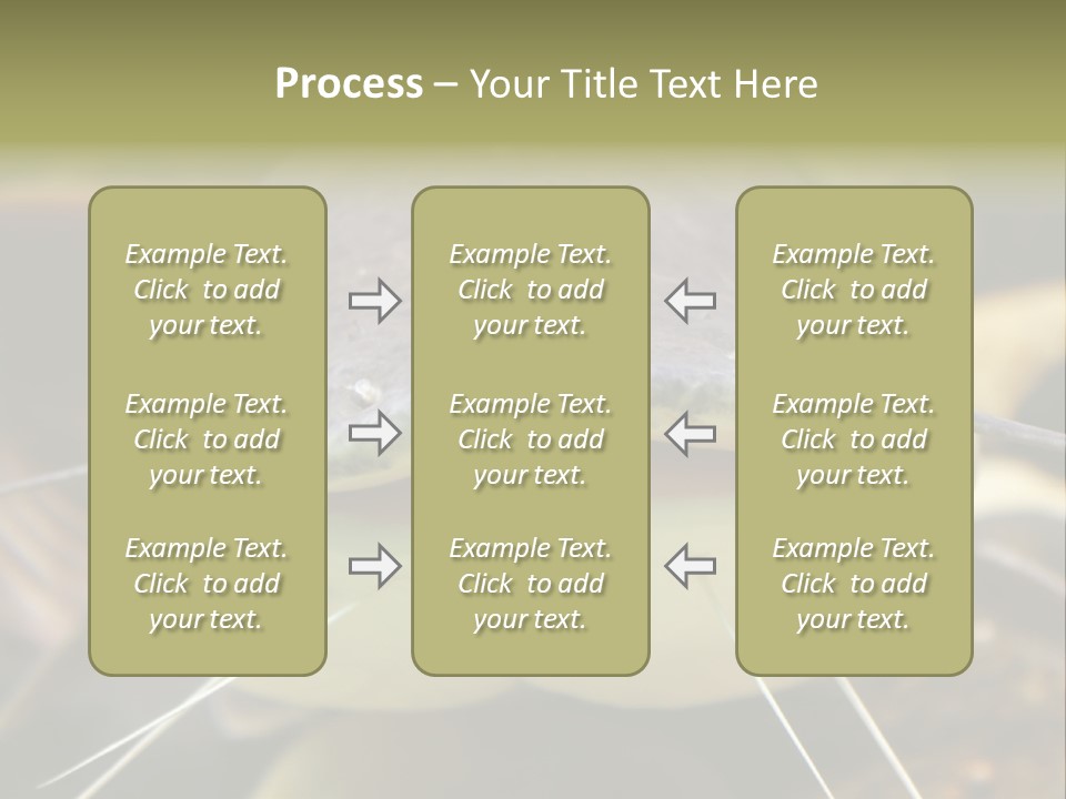 Smiling Catfish PowerPoint Template