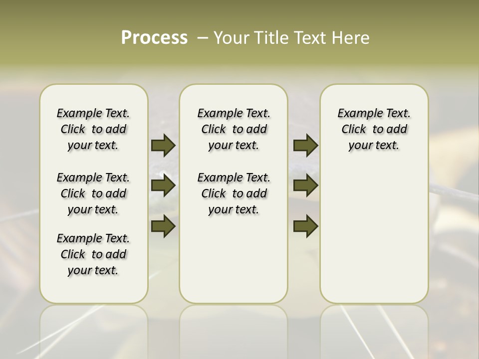 Smiling Catfish PowerPoint Template