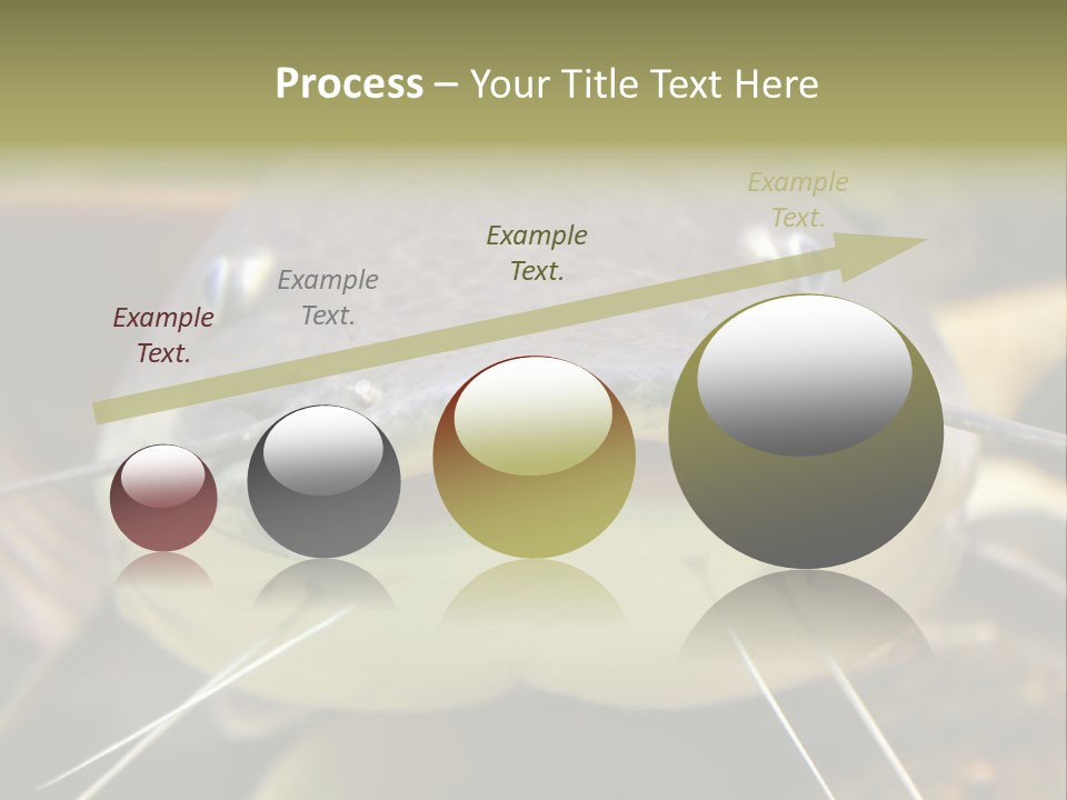 Smiling Catfish PowerPoint Template