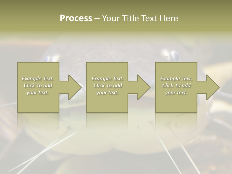 Smiling Catfish PowerPoint Template