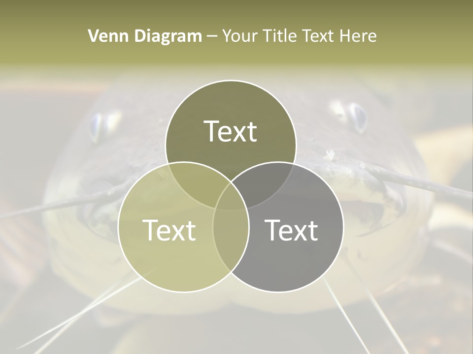 Smiling Catfish PowerPoint Template