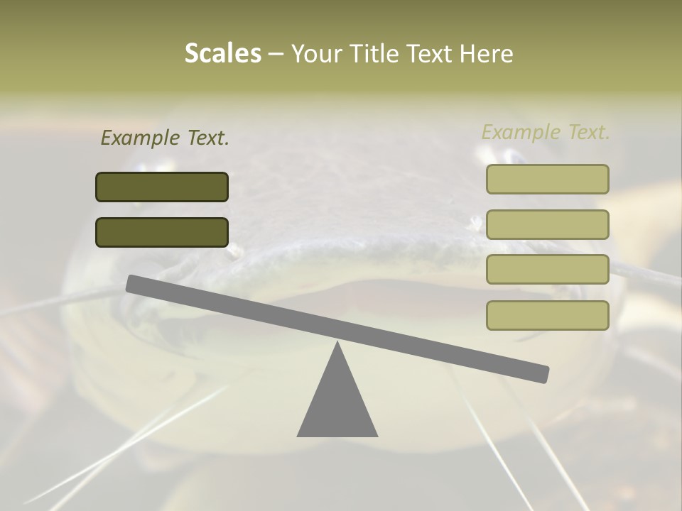 Smiling Catfish PowerPoint Template