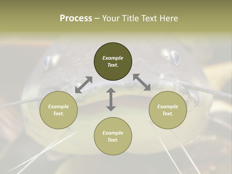 Smiling Catfish PowerPoint Template