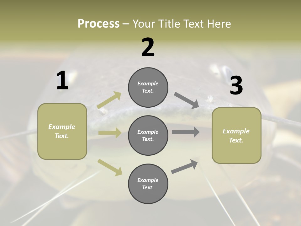 Smiling Catfish PowerPoint Template
