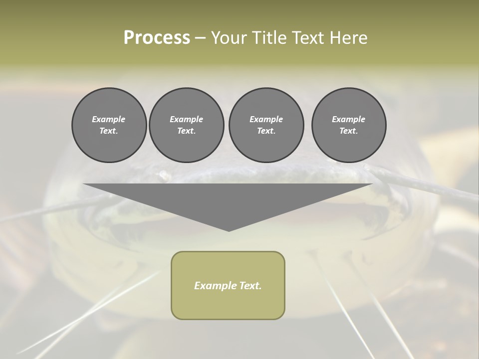 Smiling Catfish PowerPoint Template