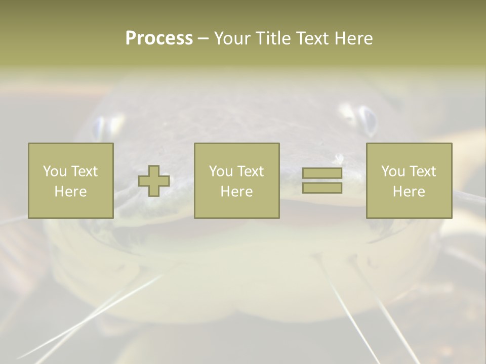 Smiling Catfish PowerPoint Template