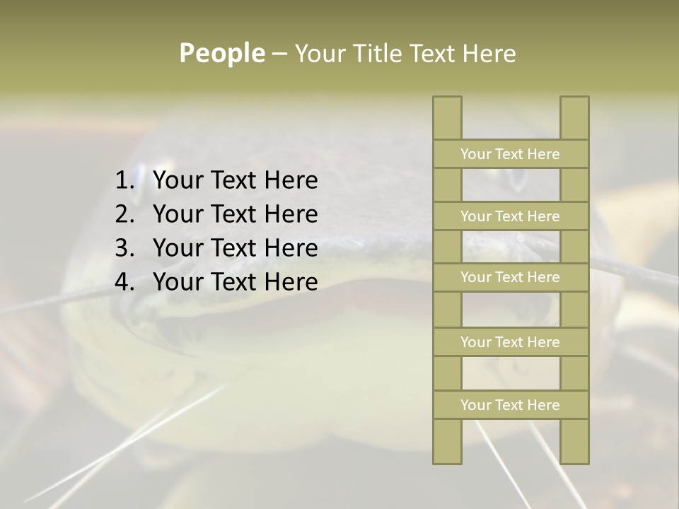 Smiling Catfish PowerPoint Template