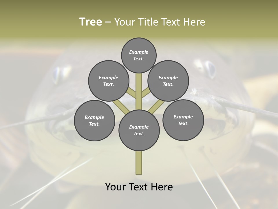 Smiling Catfish PowerPoint Template