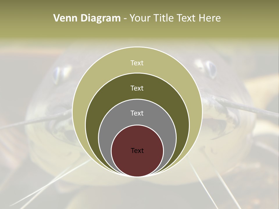 Smiling Catfish PowerPoint Template