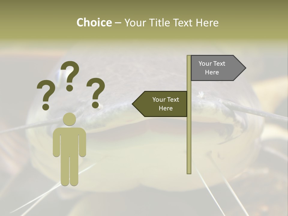 Smiling Catfish PowerPoint Template