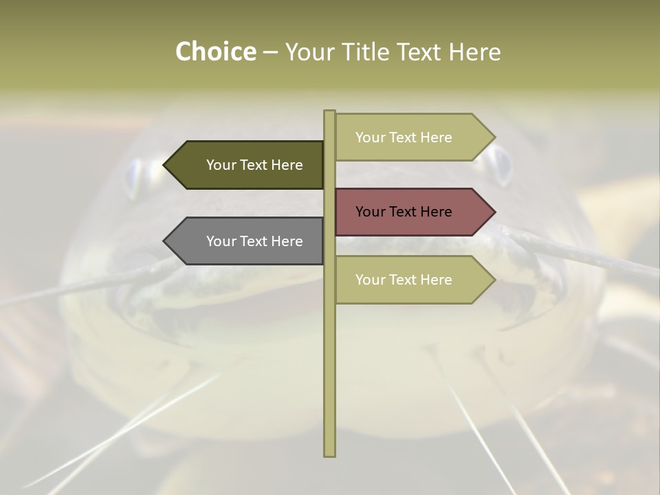 Smiling Catfish PowerPoint Template