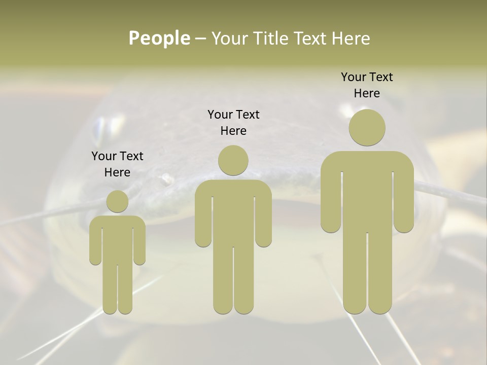 Smiling Catfish PowerPoint Template