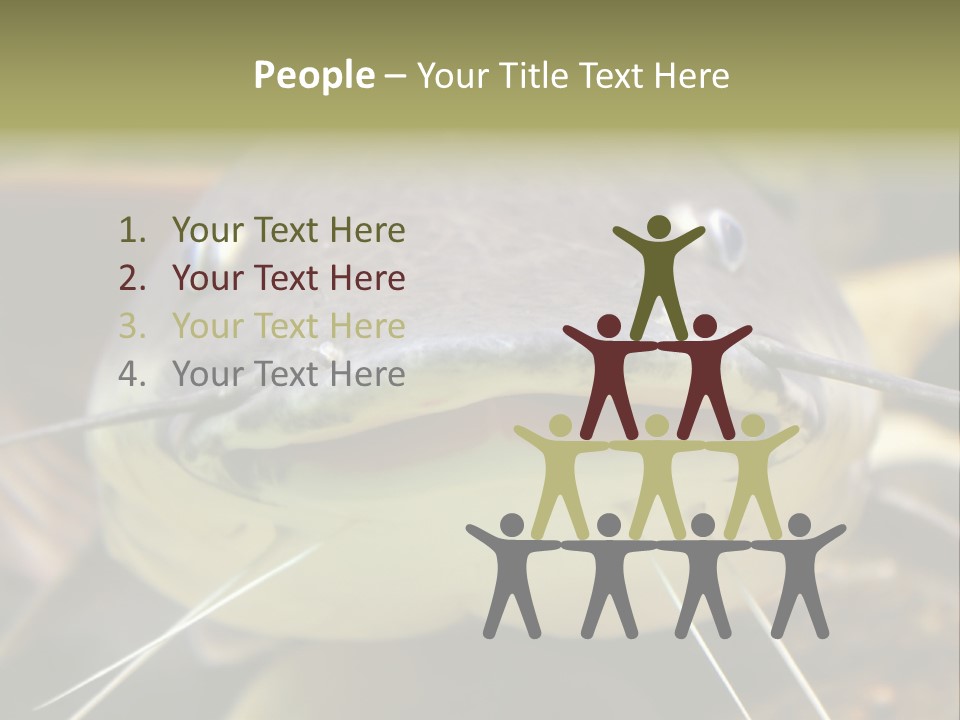 Smiling Catfish PowerPoint Template