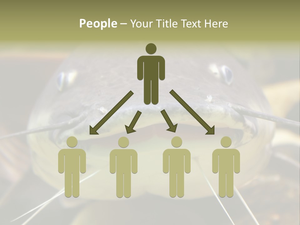 Smiling Catfish PowerPoint Template