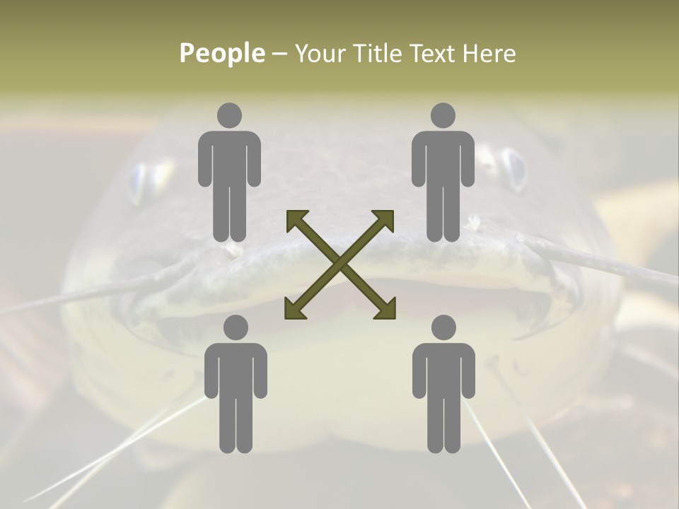 Smiling Catfish PowerPoint Template