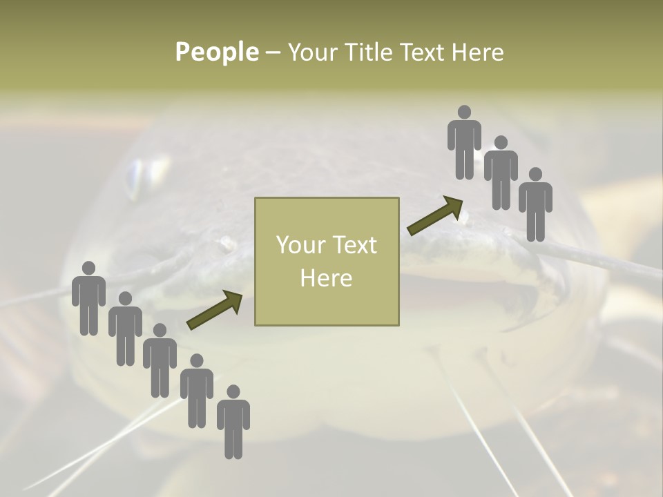 Smiling Catfish PowerPoint Template