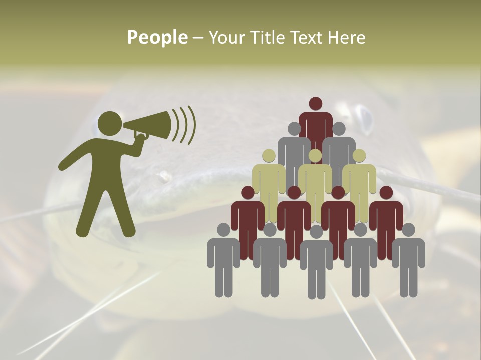 Smiling Catfish PowerPoint Template