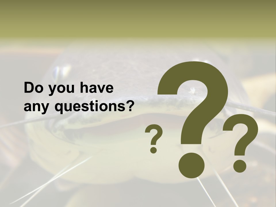 Smiling Catfish PowerPoint Template