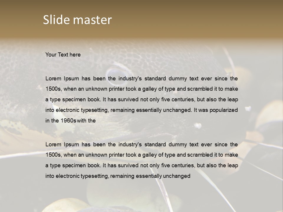 Catfish Face PowerPoint Template