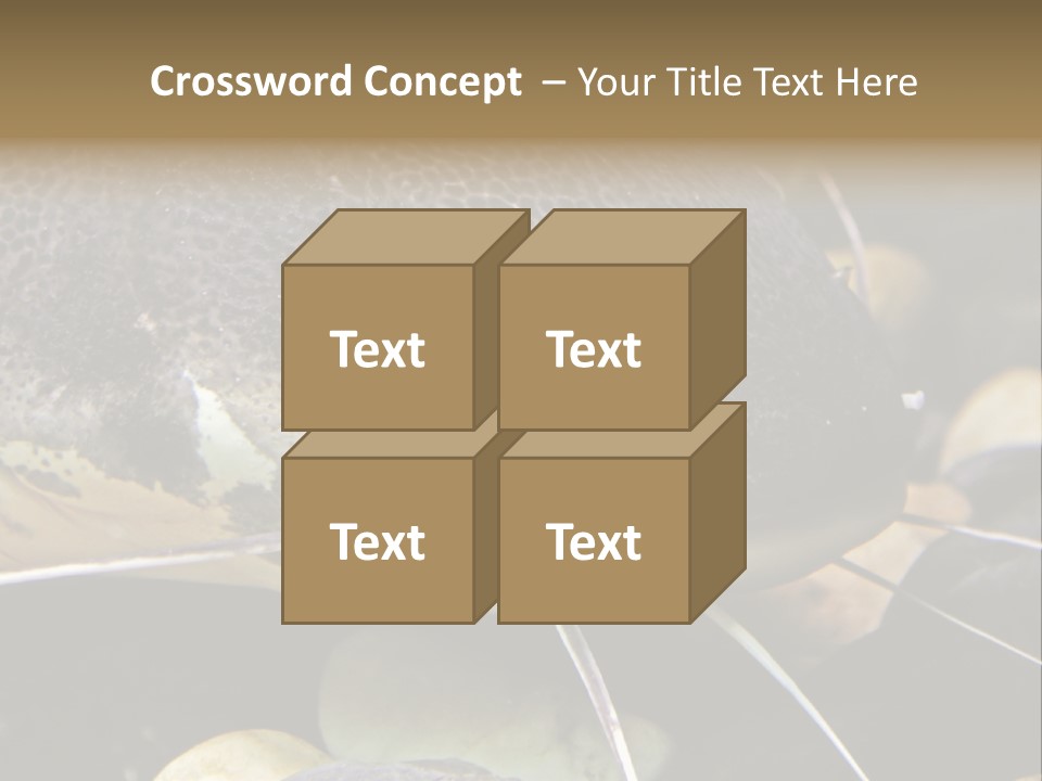 Catfish Face PowerPoint Template