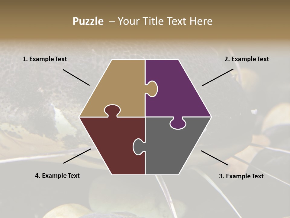 Catfish Face PowerPoint Template