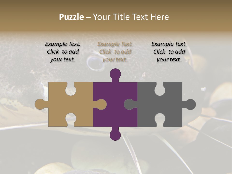 Catfish Face PowerPoint Template