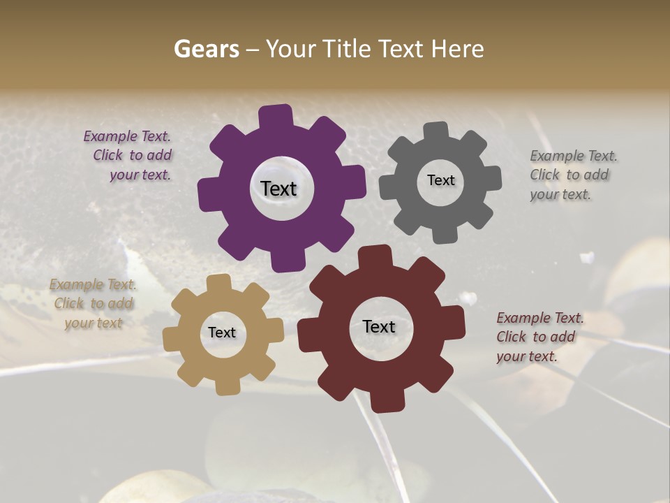 Catfish Face PowerPoint Template