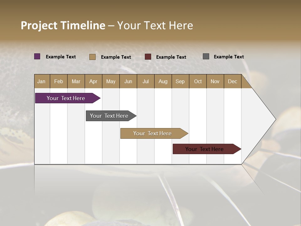 Catfish Face PowerPoint Template