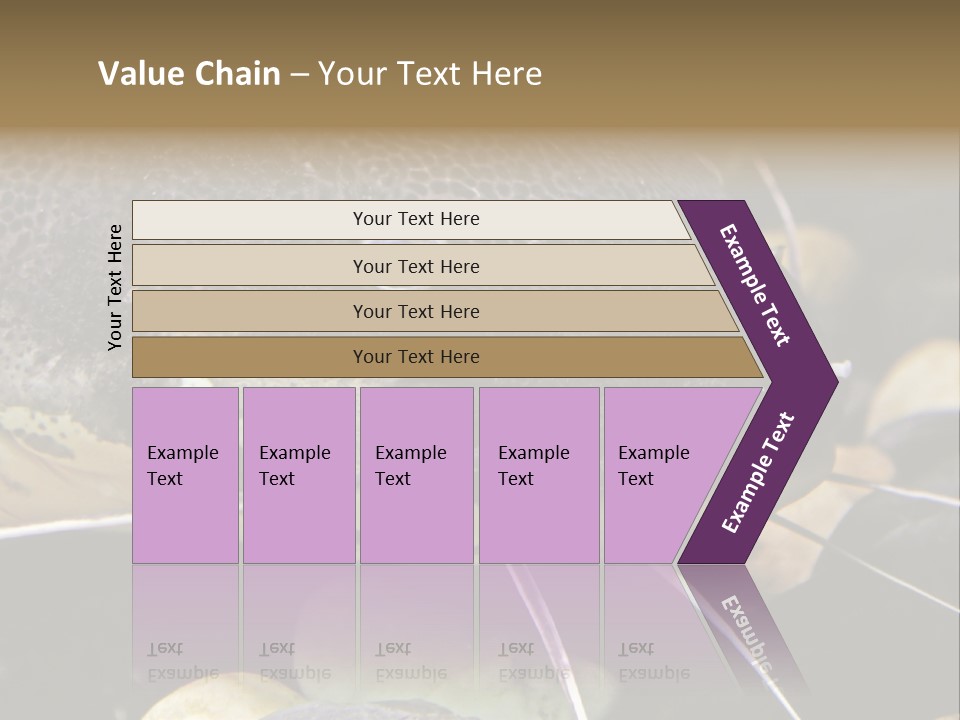 Catfish Face PowerPoint Template