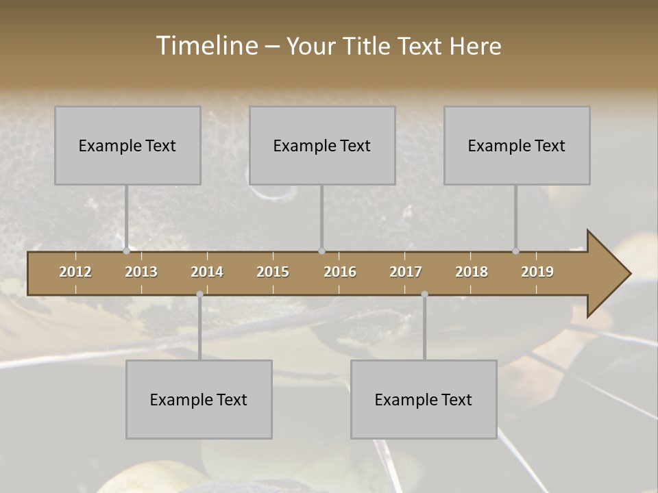 Catfish Face PowerPoint Template