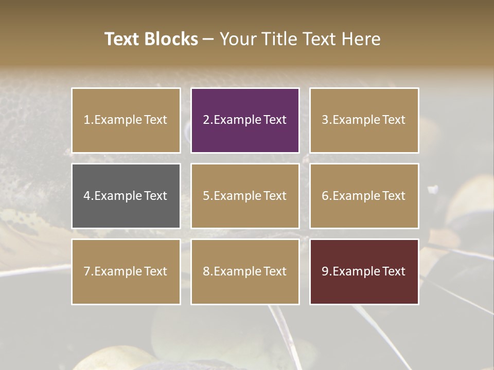 Catfish Face PowerPoint Template