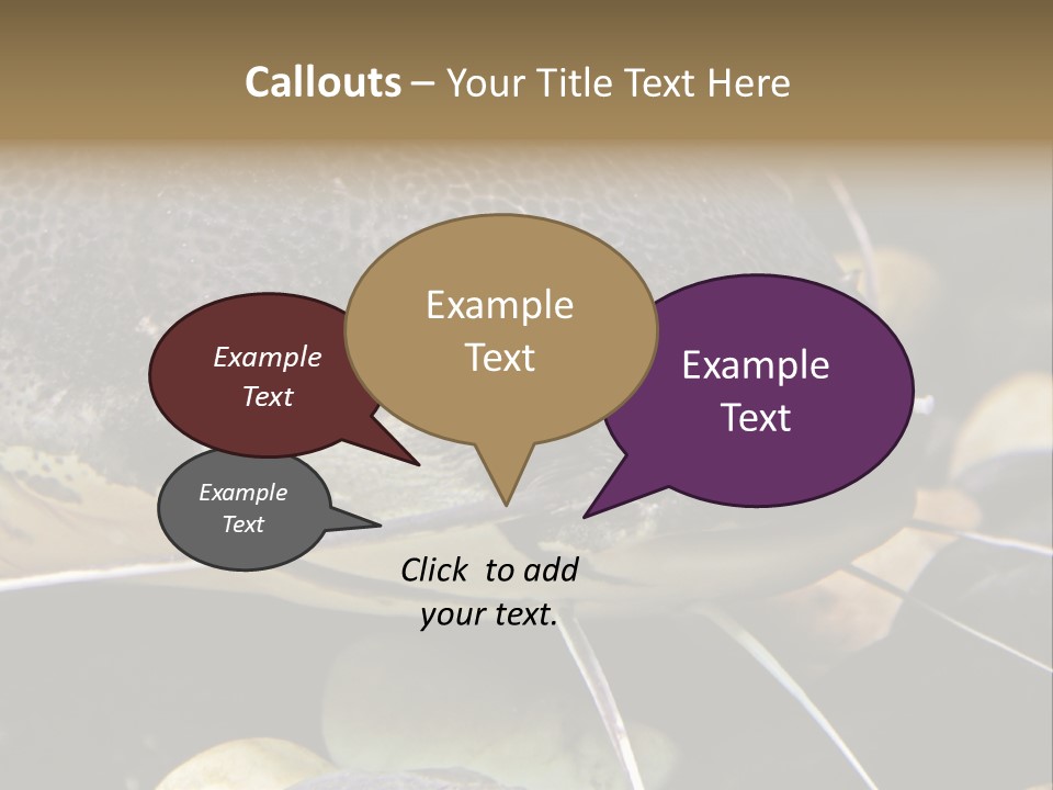 Catfish Face PowerPoint Template